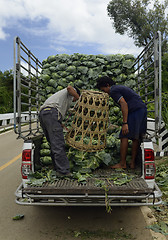 Image showing ASIA THAILAND MAE HONG SON 