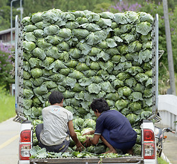 Image showing ASIA THAILAND MAE HONG SON 