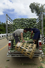 Image showing ASIA THAILAND MAE HONG SON 