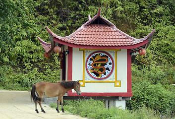 Image showing ASIA THAILAND MAE HONG SON 