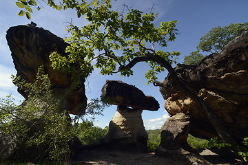 Image showing ASIA THAILAND ISAN UBON RATCHATHANI