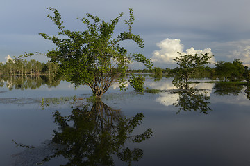 Image showing ASIA THAILAND ISAN UBON RATCHATHANI