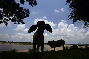 Image showing ASIA THAILAND ISAN AMNAT CHAROEN