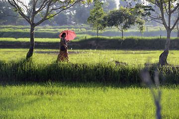 Image showing ASIA THAILAND ISAN AMNAT CHAROEN