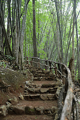 Image showing ASIA THAILAND MAE HONG SON 