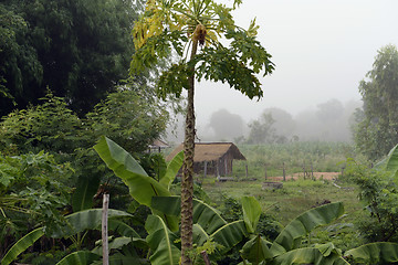 Image showing ASIA THAILAND ISAN AMNAT CHAROEN