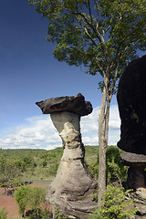 Image showing ASIA THAILAND ISAN UBON RATCHATHANI