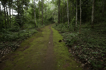 Image showing ASIA THAILAND MAE HONG SON SOPPONG