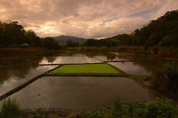 Image showing ASIA THAILAND MAE HONG SON 