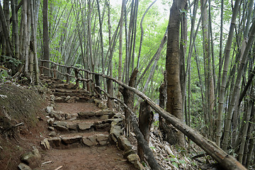 Image showing ASIA THAILAND MAE HONG SON 