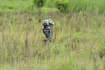 Image showing ASIA THAILAND MAE HONG SON 