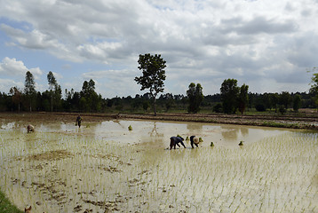 Image showing ASIA THAILAND ISAN AMNAT CHAROEN