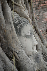 Image showing THAILAND AYUTTHAYA