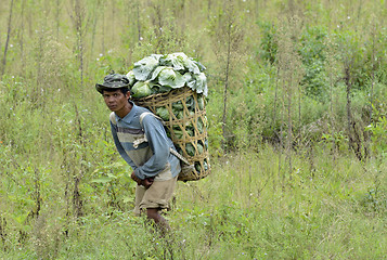 Image showing ASIA THAILAND MAE HONG SON 