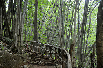 Image showing ASIA THAILAND MAE HONG SON 