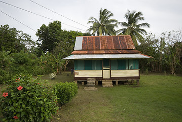 Image showing native house with tin roof