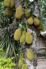 Image showing ASIA THAILAND MAE HONG SON 