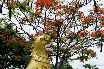 Image showing ASIA THAILAND MAE HONG SON 