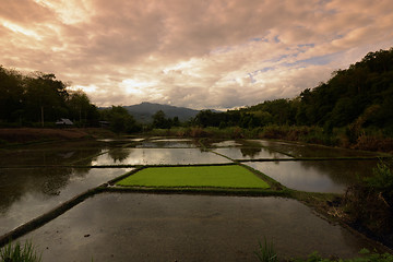 Image showing ASIA THAILAND MAE HONG SON 