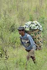 Image showing ASIA THAILAND MAE HONG SON 