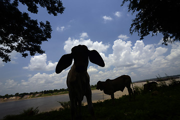 Image showing ASIA THAILAND ISAN AMNAT CHAROEN