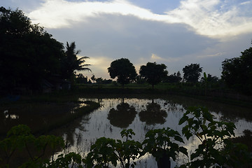 Image showing ASIA THAILAND ISAN AMNAT CHAROEN