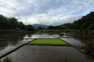 Image showing ASIA THAILAND MAE HONG SON 