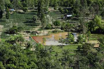 Image showing ASIA THAILAND ISAN UBON RATCHATHANI