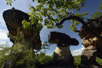 Image showing ASIA THAILAND ISAN UBON RATCHATHANI