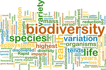 Image showing biodiversity wordcloud concept illustration