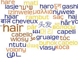 Image showing Hair multilanguage wordcloud background concept