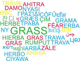 Image showing Grass multilanguage wordcloud background concept