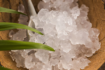 Image showing Water kefir grains