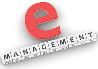 Image showing e management