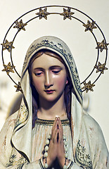 Image showing Madonna