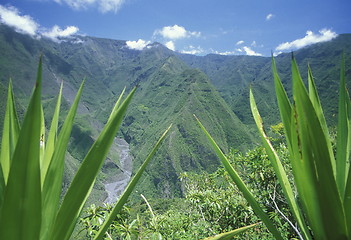 Image showing AFRICA FRANCE LA REUNION