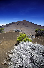 Image showing AFRICA FRANCE LA REUNION