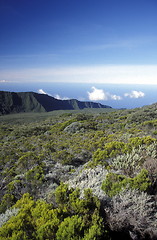 Image showing AFRICA FRANCE LA REUNION