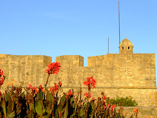 Image showing Fort of Sao Joao Baptista da Foz