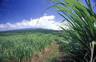 Image showing AFRICA FRANCE LA REUNION