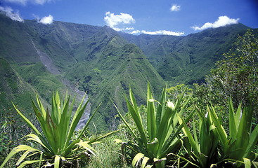 Image showing AFRICA FRANCE LA REUNION