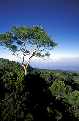 Image showing AFRICA FRANCE LA REUNION