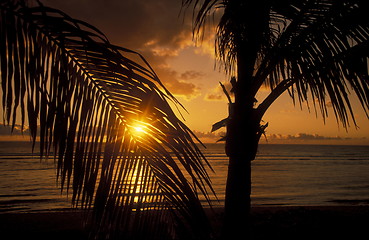 Image showing AFRICA FRANCE LA REUNION