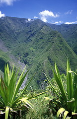 Image showing AFRICA FRANCE LA REUNION