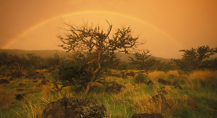 Image showing AFRICA FRANCE LA REUNION