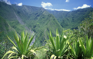 Image showing AFRICA FRANCE LA REUNION