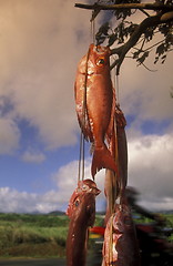 Image showing AFRICA FRANCE LA REUNION