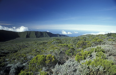 Image showing AFRICA FRANCE LA REUNION