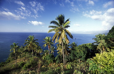 Image showing AFRICA COMOROS ANJOUAN