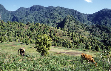 Image showing AFRICA COMOROS ANJOUAN